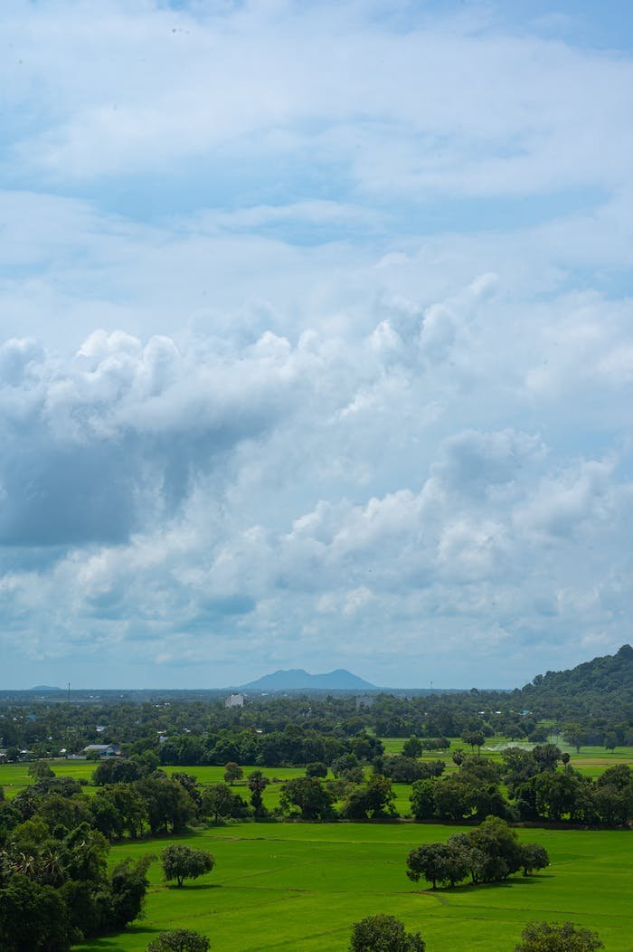 pexels photo 34035083.jpeg