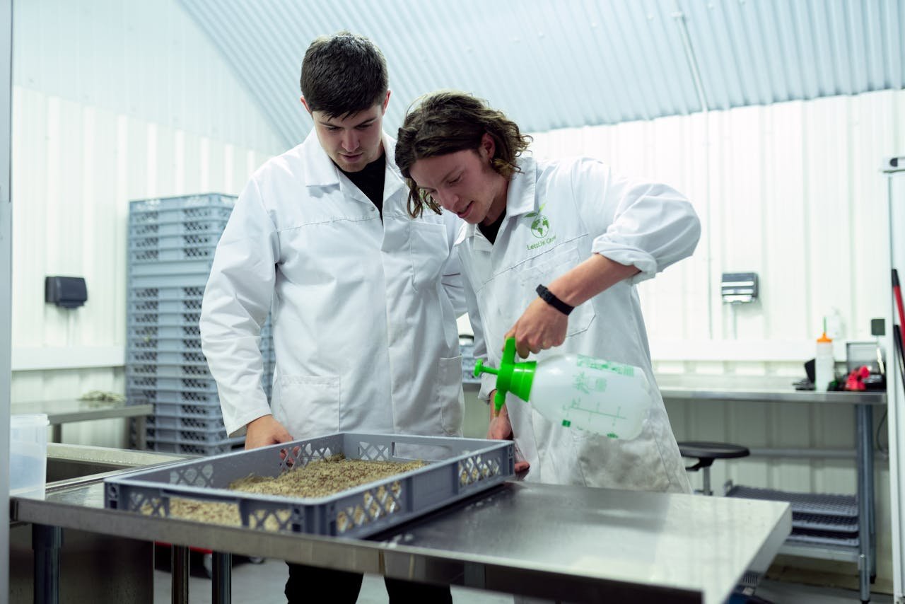 Two scientists in lab coats conducting research on sustainable indoor farming techniques.