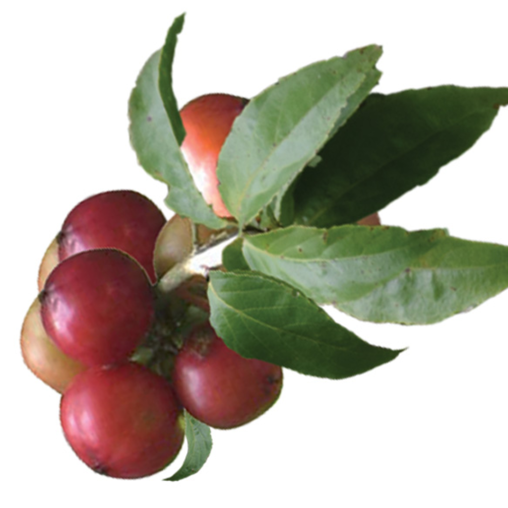 blue white modern buy 1 get 1 promotion instagram post (10)